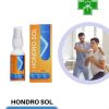 Hondro Sol